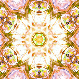 Illustration for article titled Healing Hands - The Power of Reiki